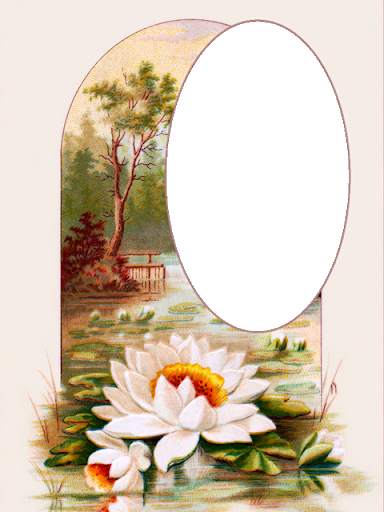 Flower Photo Frames, Lovely Flower Frame screenshot 7