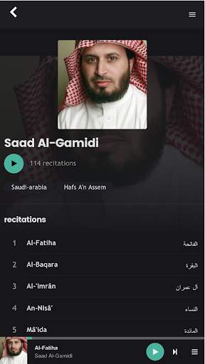 Quran Pro screenshot 4