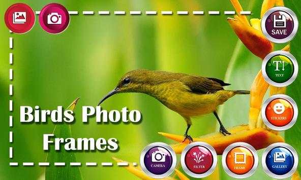 Birds HD Photo Frames and Live Wallpapers screenshot 4