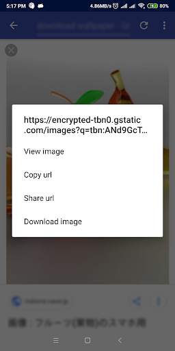 IDM - Download Manager Plus screenshot 6