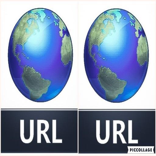 Double Browser- 2 in 1 multi window browser app. icon