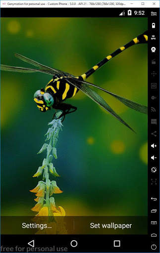 Ladybug 3D Live Wallpaper 10 تصوير الشاشة
