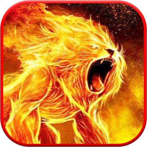 Lion Wallpaper HD 🔥 icon