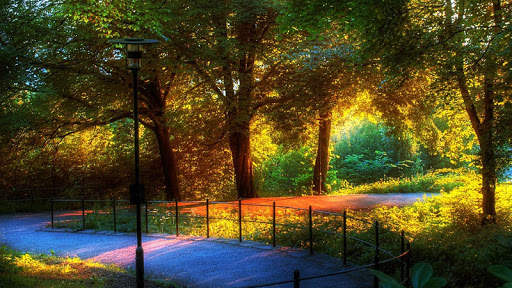Park Wallpaper screenshot 3