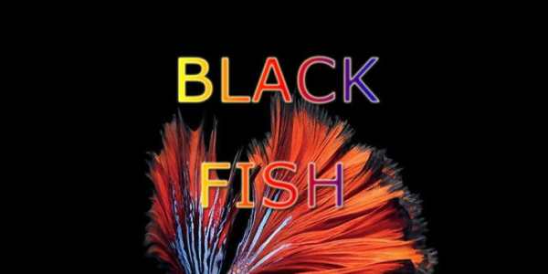 Black Fish Theme screenshot 1