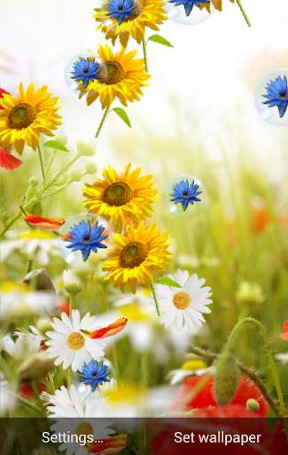 Spring Live Wallpaper screenshot 3