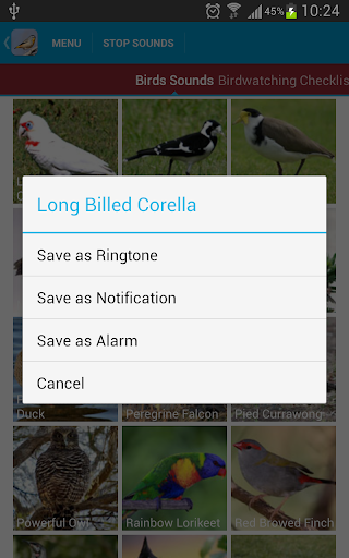 Australian Birds Sounds Free screenshot 7