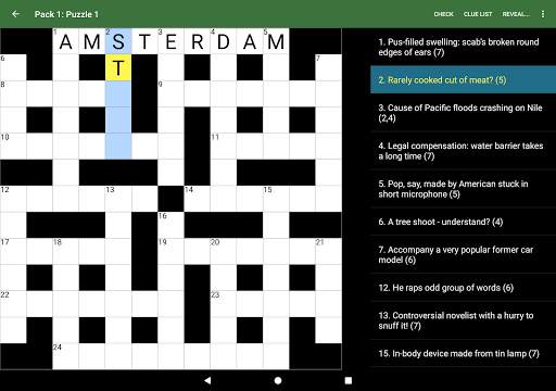 Cryptic Crossword Lite screenshot 12
