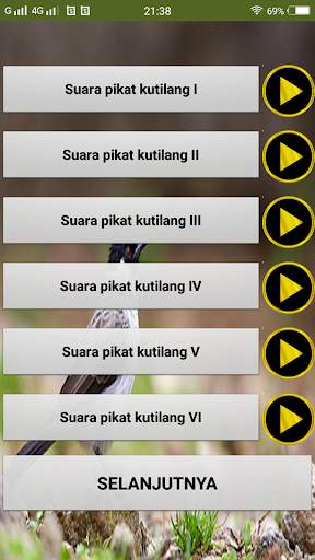 Suara pikat burung kutilang screenshot 3