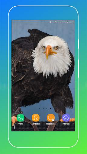 HD Eagle Wallpaper screenshot 5