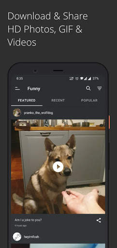 Buzz - Photos, funny videos and gifs screenshot 4