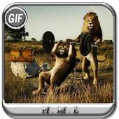 animals funny gif 1.0.0