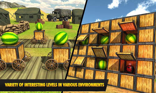 Watermelon shooting game 3D screenshot 5