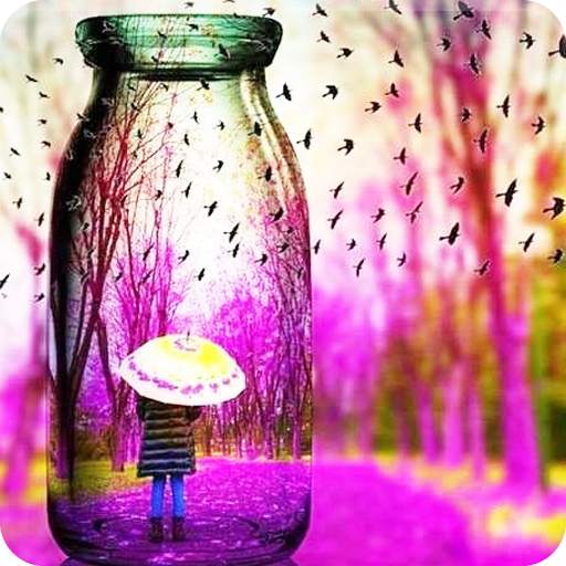 Photo PIP Camera - Photo Editor & Effects Filters 1.0
