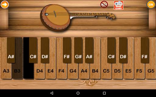 Professional Banjo screenshot 2