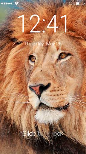 Africa Lion Wild Animal King Screen Lock screenshot 1