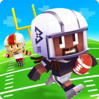 Marshawn Lynch Blocky Football