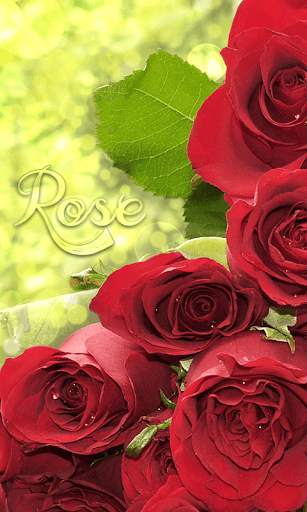 Rose Live Wallpaper screenshot 5