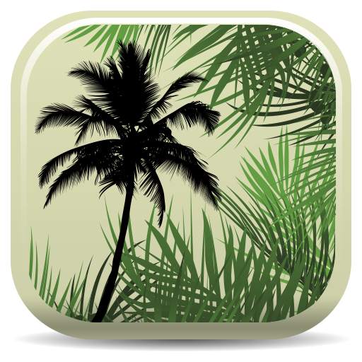 Palm ID Key 1.0.6