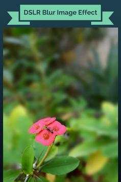 Blur Image Background Light Photo Editor screenshot 6