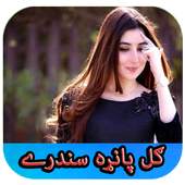 Gul Panra 2019 1.0