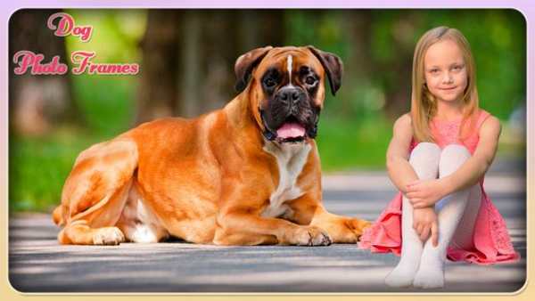 Dog Photo Frame 2 تصوير الشاشة