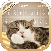 Cute Cat icon