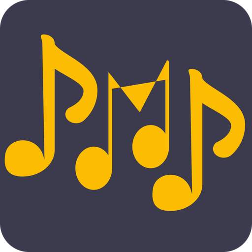 Perfect Music Player PMP 2.0