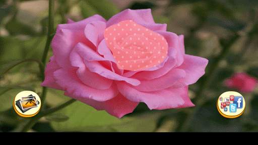 Photo Editor - Rose Photo screenshot 5