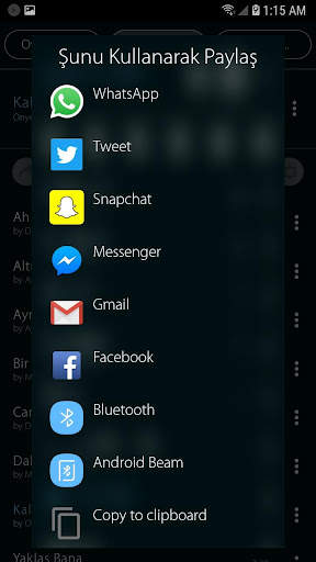 Mp3 çalar screenshot 17