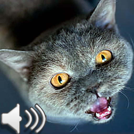 Animal Sound icon