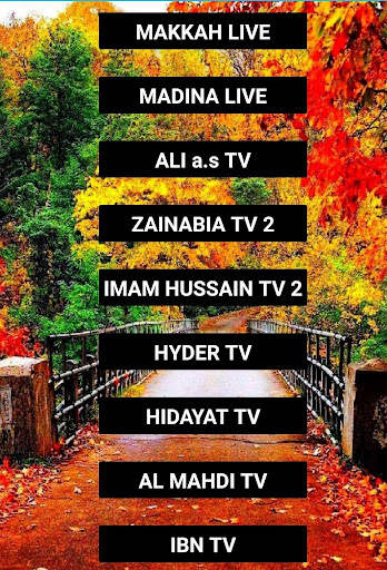 shia tv screenshot 5