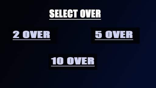 cricket-7 smash screenshot 1