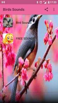 Birds Sounds स्क्रीनशॉट 2