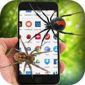 Spider on Screen Funny Prank 1.0.0
