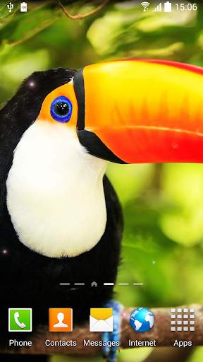 Birds Live Wallpaper स्क्रीनशॉट 5