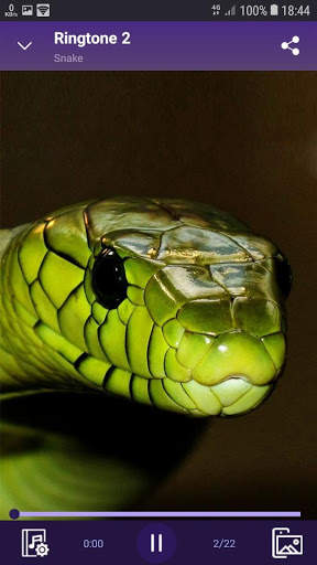 Snake - RINGTONES and WALLPAPERS screenshot 2