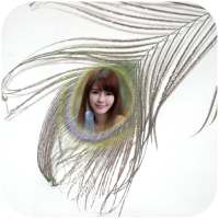 Feather Photo Frames