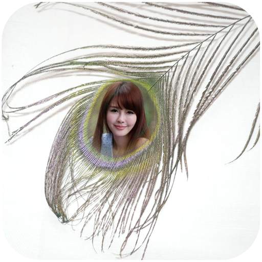 Feather Photo Frames 1.12