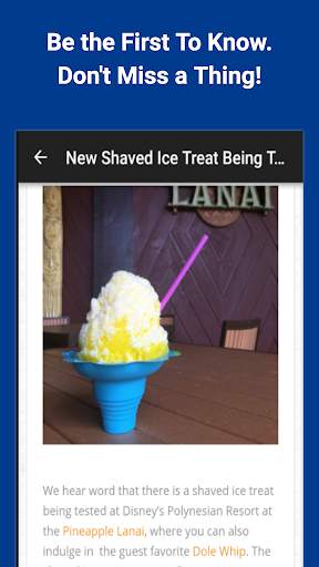 Ears the News: Disney World screenshot 3