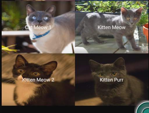 Amazing Cat Sounds - Cat simulator screenshot 2