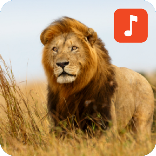 Lion Sound Effects icon