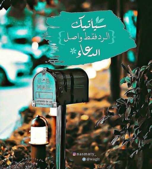 حالات واتس صور 2019 8 تصوير الشاشة