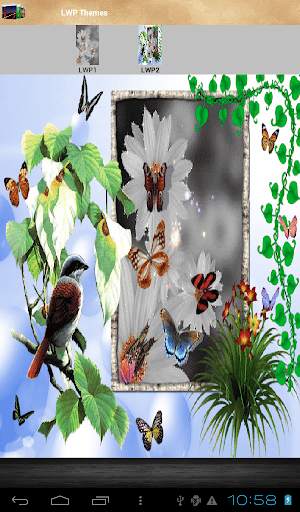 Animated 3D Butterfly screenshot 9
