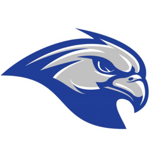 Falcon VPN 1.1.3