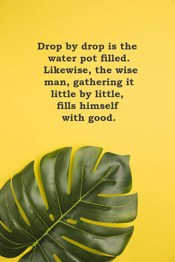 Buddha Wisdom Quotes | Motivational Quotes offline screenshot 3