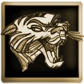 J Gold Ice Icons Pack 3.5