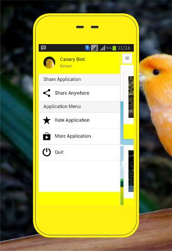 Canary Birds screenshot 2