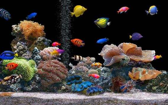 Aquarium Live Wallpaper screenshot 4