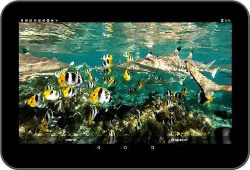 Underwater Live Wallpaper screenshot 4